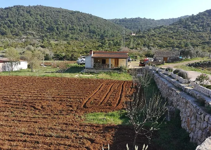 Holiday Home Cvitka